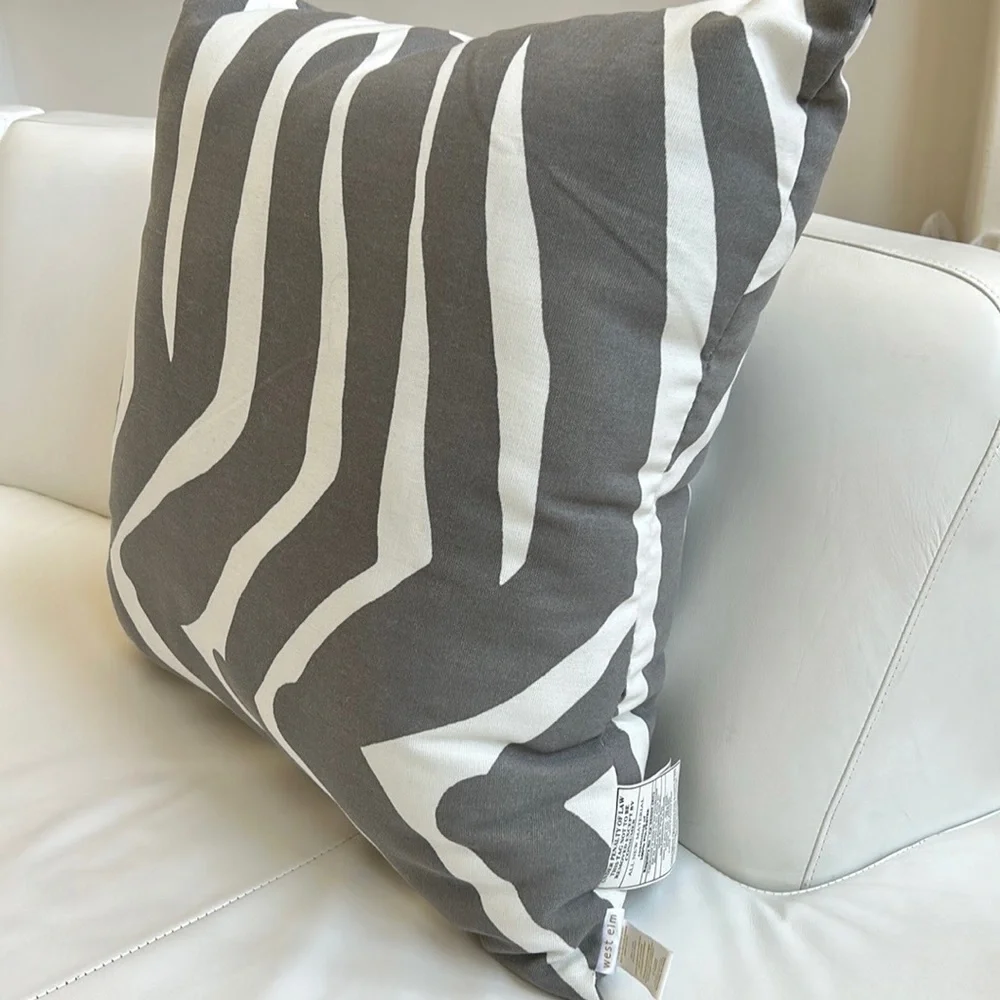 West Elm Large Square Pillow